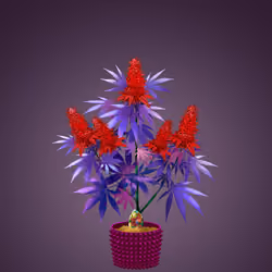 NFTokin #12674