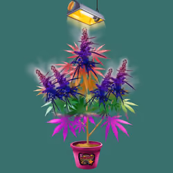 NFTokin #9710