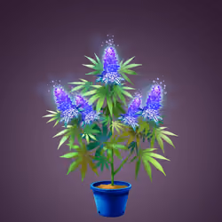 NFTokin #5903