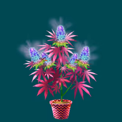 NFTokin #12699