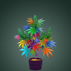 NFTokin #7540