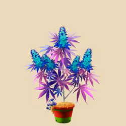 NFTokin #7676