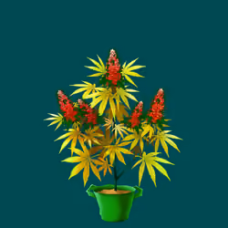 NFTokin #1287