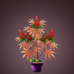 NFTokin #8609