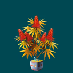 NFTokin #11901