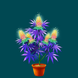 NFTokin #8592