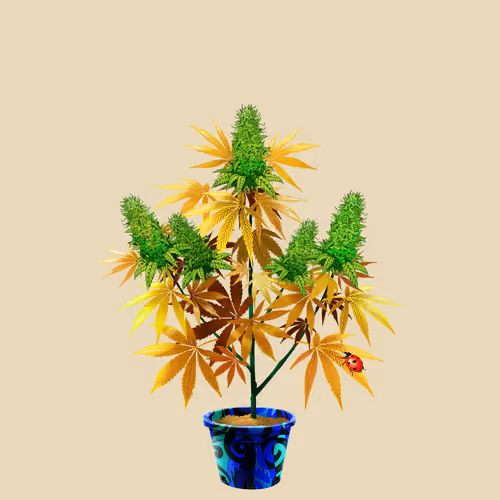 NFTokin #7473