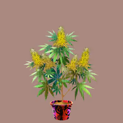 NFTokin #2601