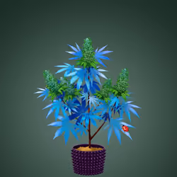 NFTokin #5304