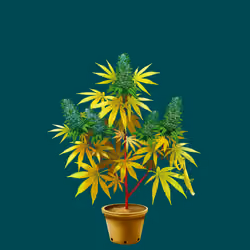 NFTokin #10626