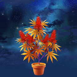 NFTokin #12232