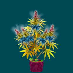 NFTokin #12203