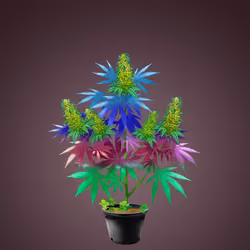 NFTokin #6921