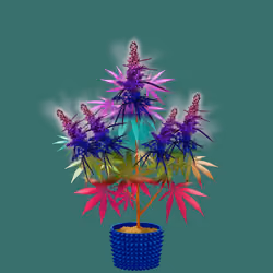 NFTokin #5296