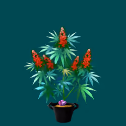 NFTokin #6200