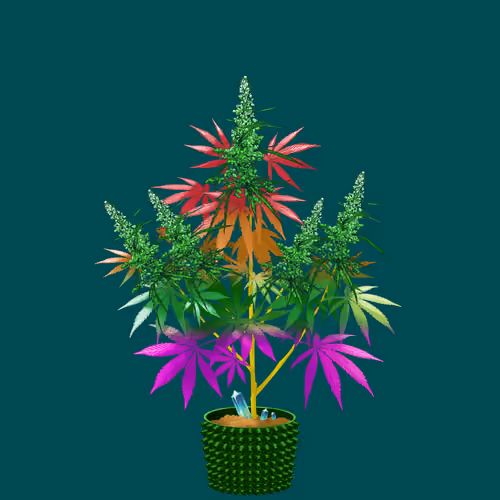 NFTokin #9645