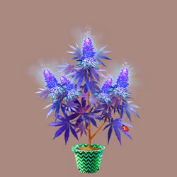 NFTokin #4354