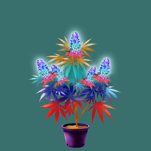 NFTokin #8039