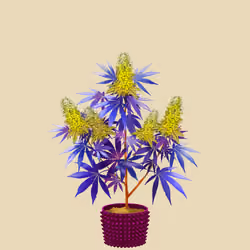 NFTokin #1180