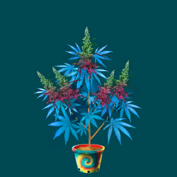 NFTokin #12640