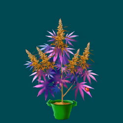NFTokin #3758