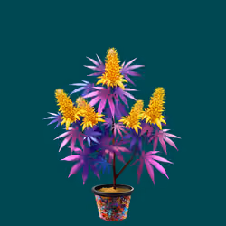NFTokin #6068