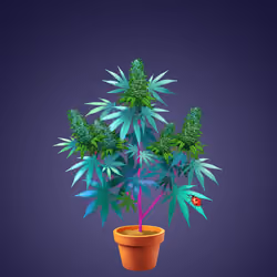 NFTokin #1542