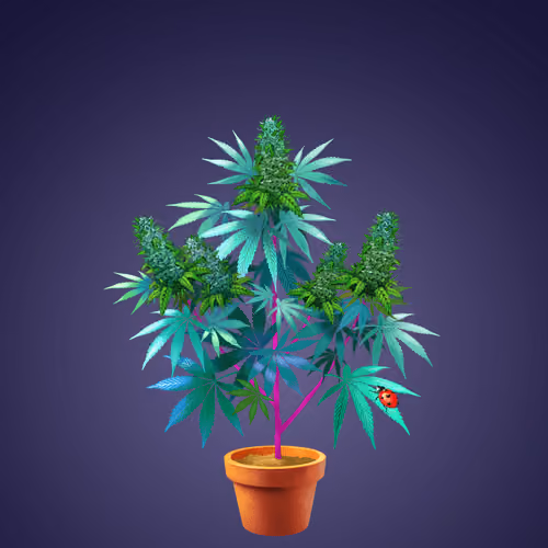 NFTokin #1542
