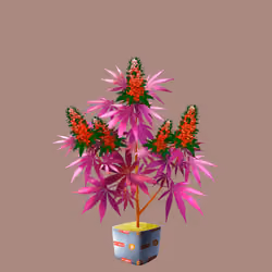 NFTokin #12784