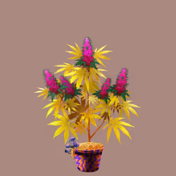 NFTokin #1524