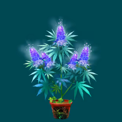 NFTokin #10324