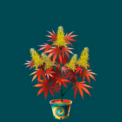 NFTokin #7381
