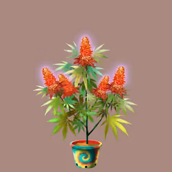 NFTokin #9361