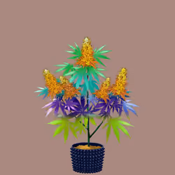 NFTokin #7438