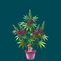 NFTokin #3480