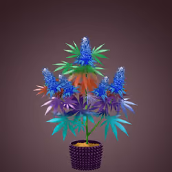 NFTokin #11627