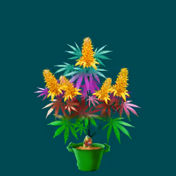 NFTokin #7102