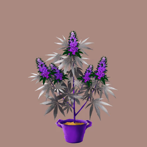 NFTokin #12583