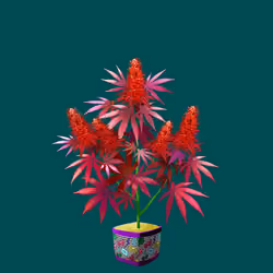 NFTokin #1216