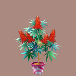 NFTokin #4001