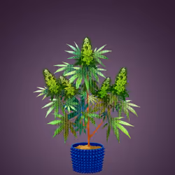 NFTokin #5614