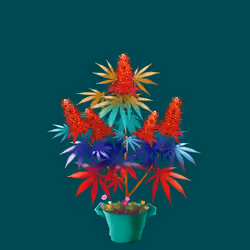 NFTokin #11543