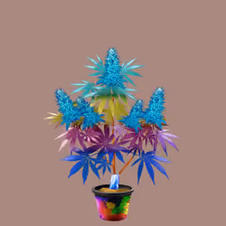 NFTokin #8211