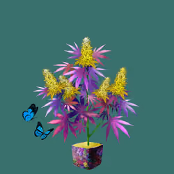 NFTokin #7161