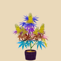 NFTokin #5753