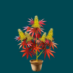 NFTokin #2026