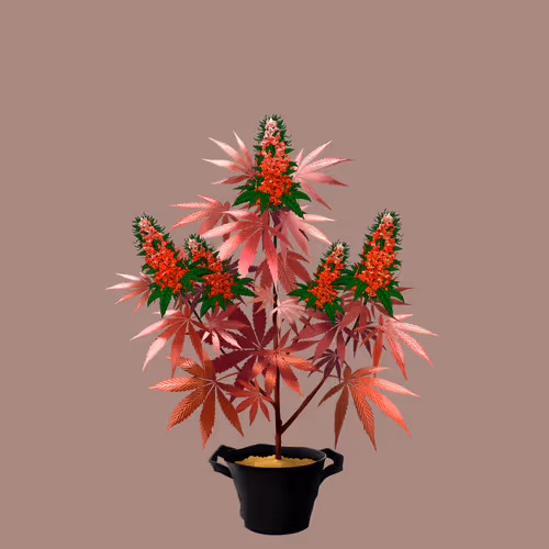 NFTokin #5420
