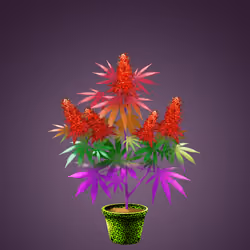 NFTokin #6419
