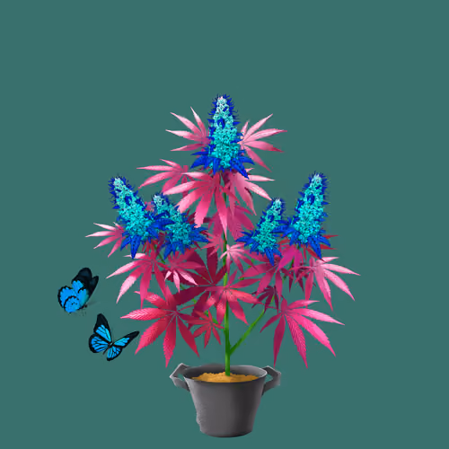 NFTokin #12379