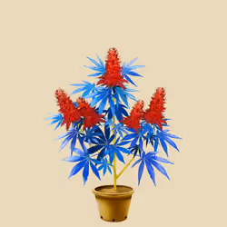 NFTokin #10645